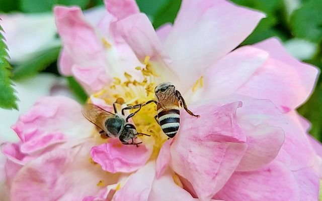 8c5b86414defeaab734a56d9b4c4f64c