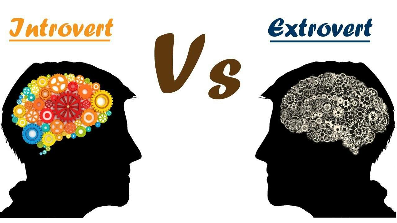 Partiko Extrovert Vs Introvert Personality Organization Behavior 223 Steemkr