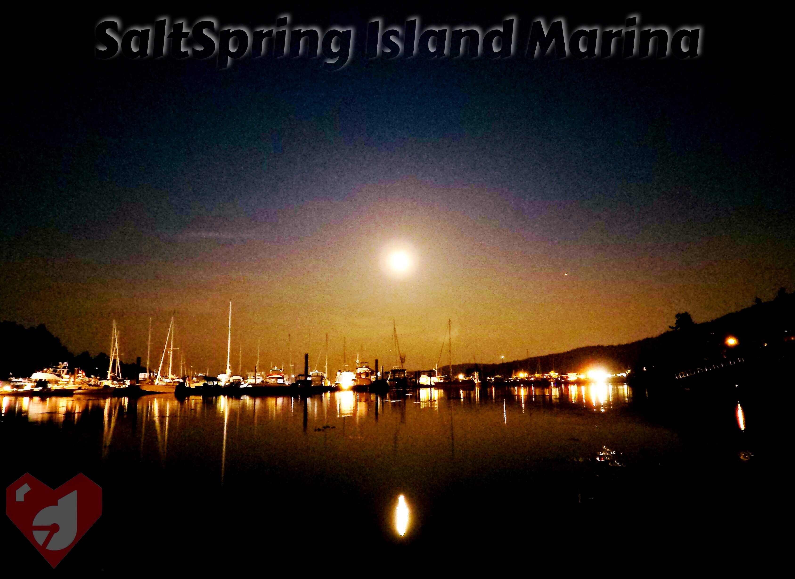 https://s3.us-east-2.amazonaws.com/partiko.io/img/d00k13-a-little-moonflection--saltspring-island-marinayfkfdgcz-1535352617791.png