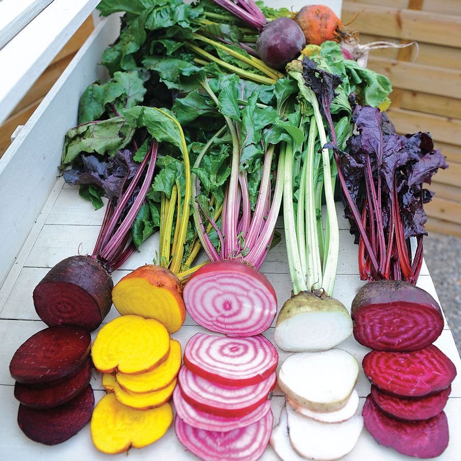 rainbow beets.jpg