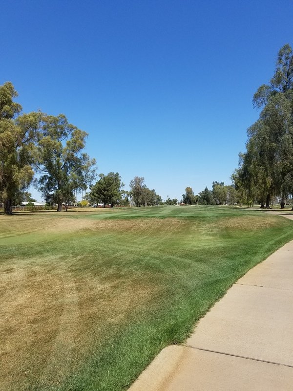 Reviewing the new Grand Canyon University Golf Course — Steemit