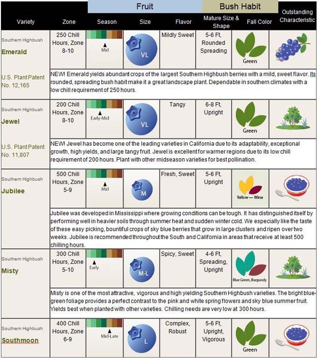 blueberry varieties chart.jpg