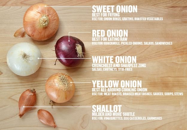 onion varieties.jpg