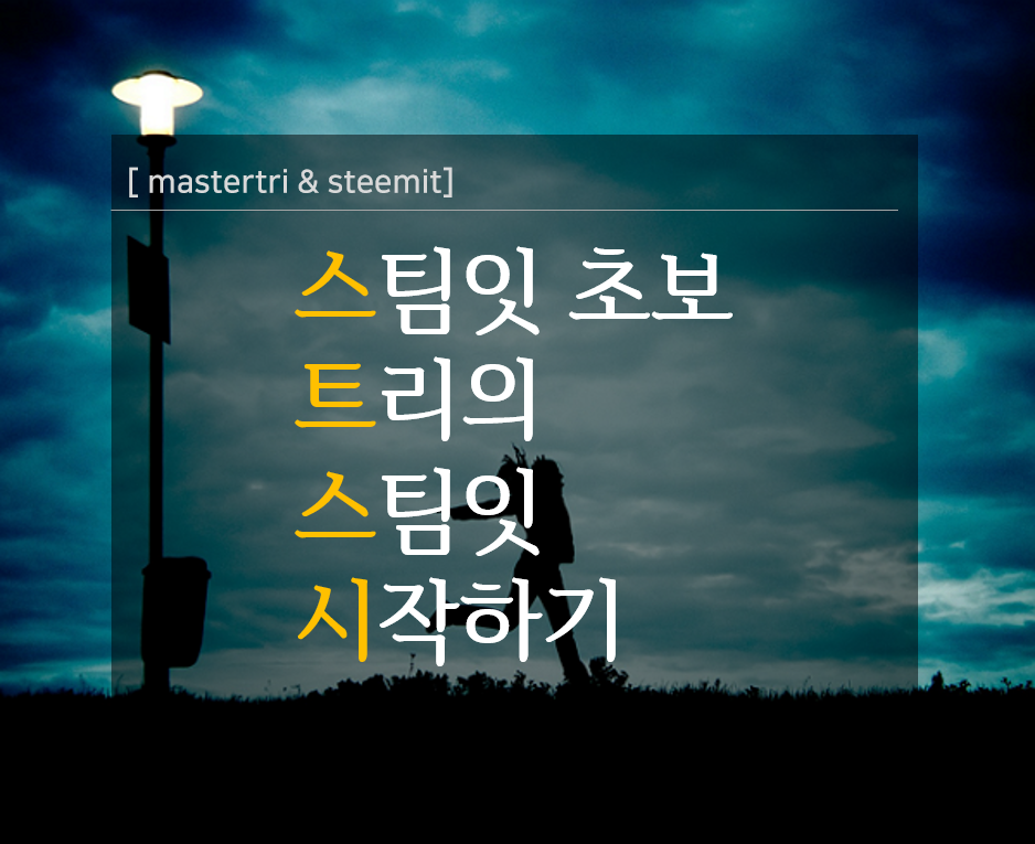 스팀잇_초보_트리의_스팀잇_시작하기