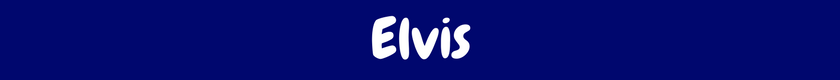 Elvis_banner.png