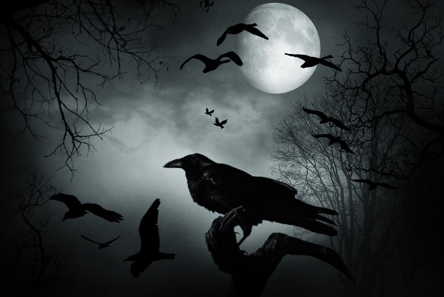 Crows (Original Poem) — Steemit