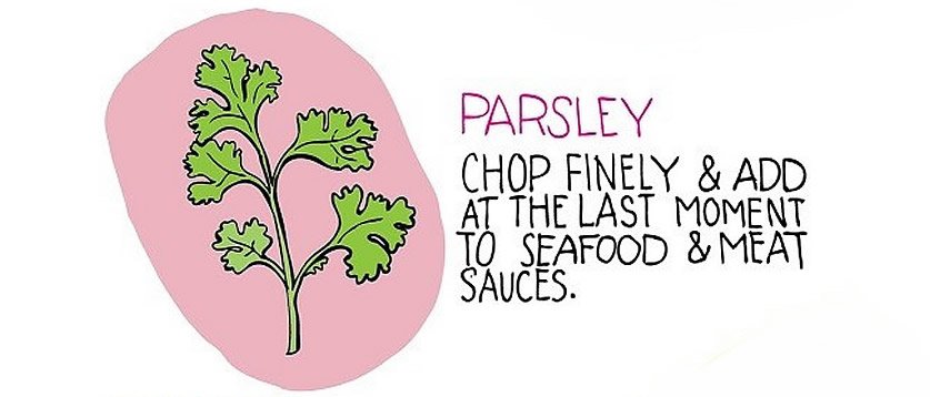 parsley 9.jpg