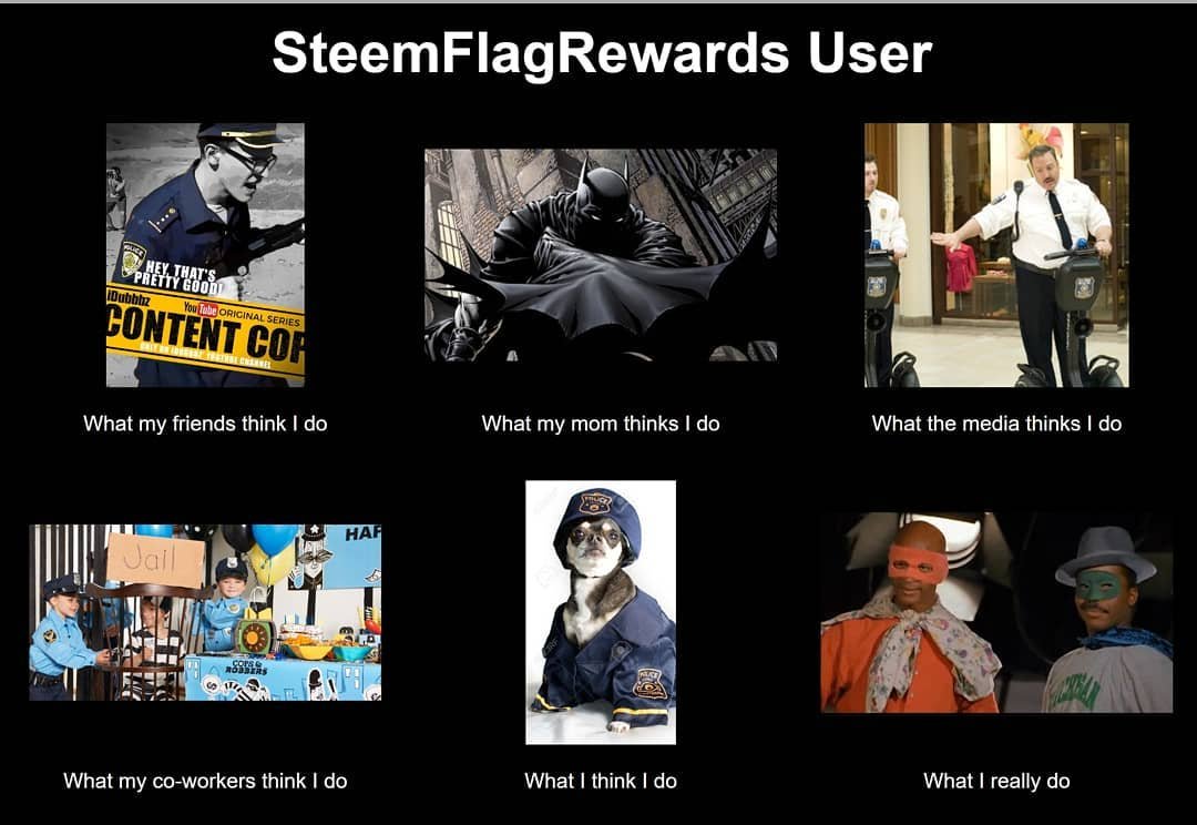 Steemflagrewards User What People Think I Do Original Steem Meme