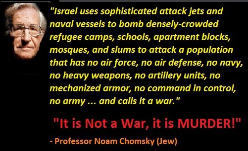 noam_chomsky-it_is_not_war_it_is_murder_by_zionist_israel.jpg