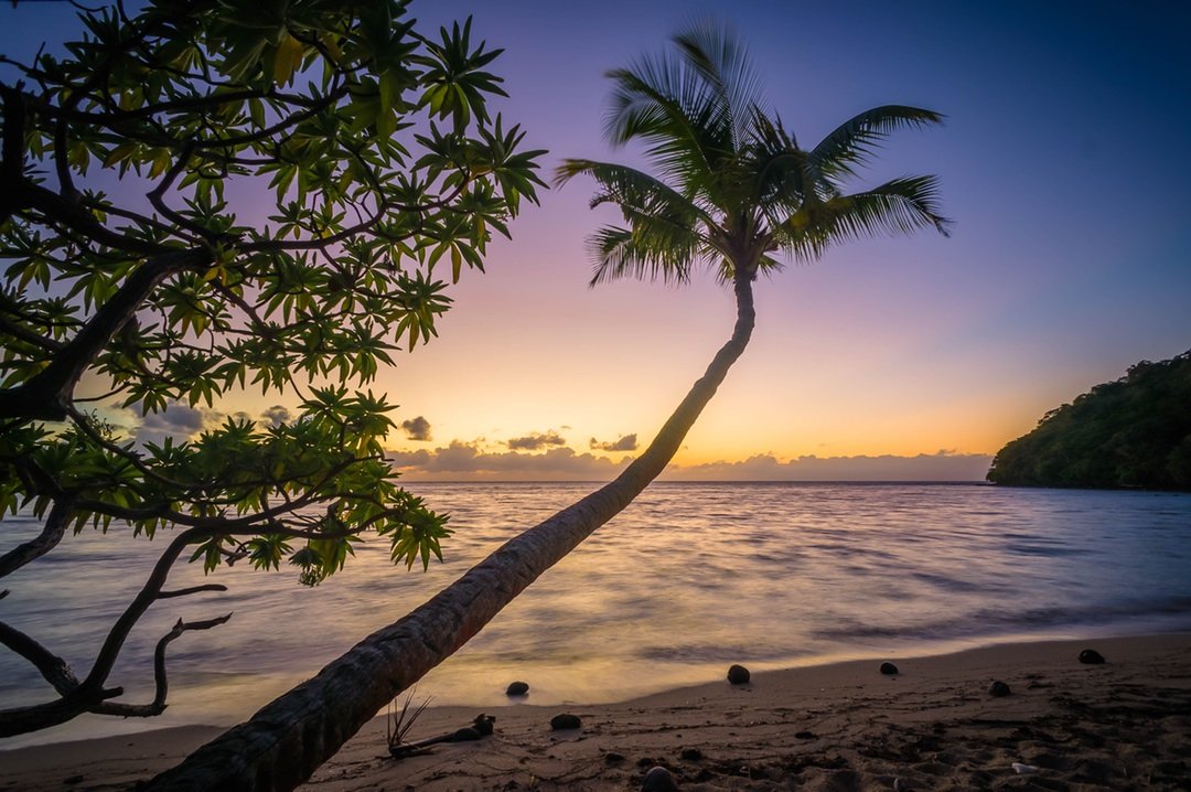 Kicking Back in the South Pacific