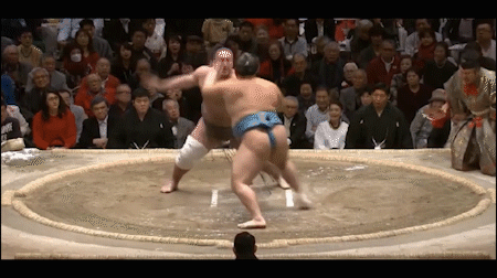 day 12 in sumo