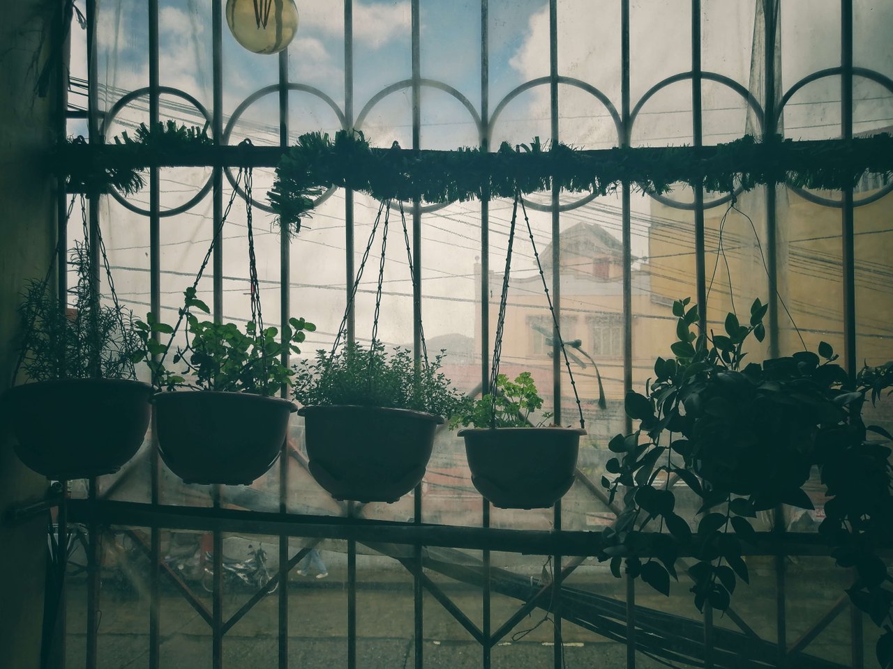 IMG_20190720_124552-01.jpeg
