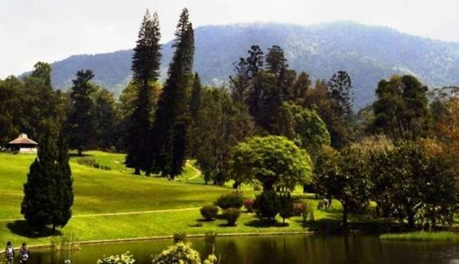 Enam Taman Bunga Terindah Di Indonesia