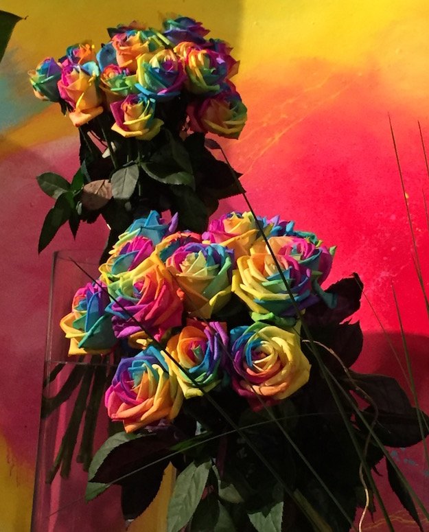 rainbowsroses20083.jpg