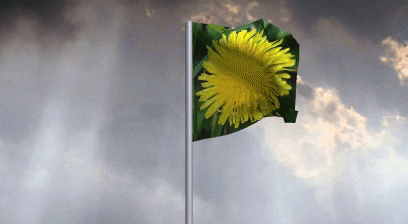 Flag%20Gif.gif