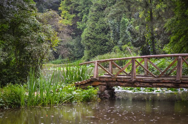 Let S Travel Together 55 The Botanical Garden From Simeria