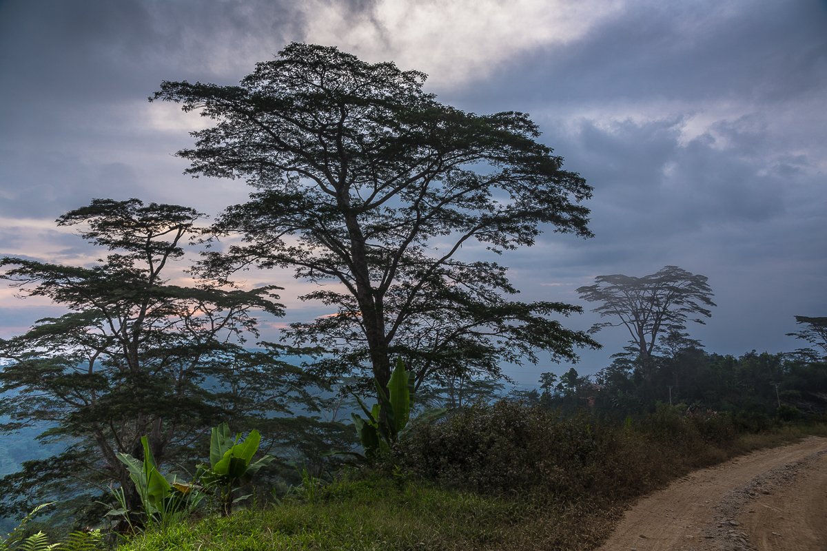 fazenda 172 caminho 20.jpg