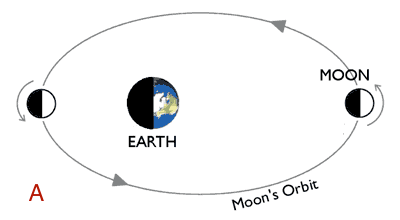 The-Moons-orbit.gif