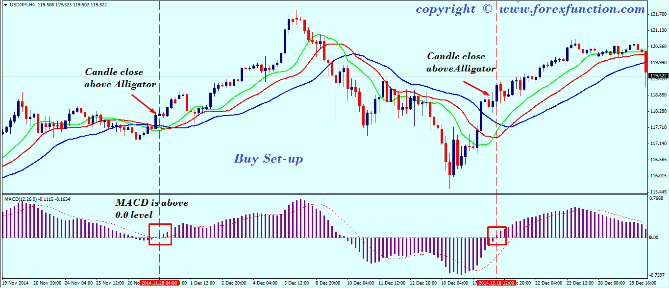 How to use the macd in forex trading