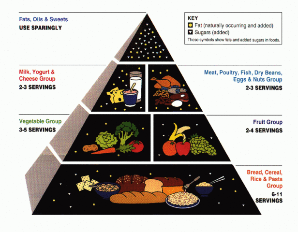 616px-USDA_Food_Pyramid.gif