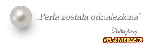 perła-odnaleziona.jpg
