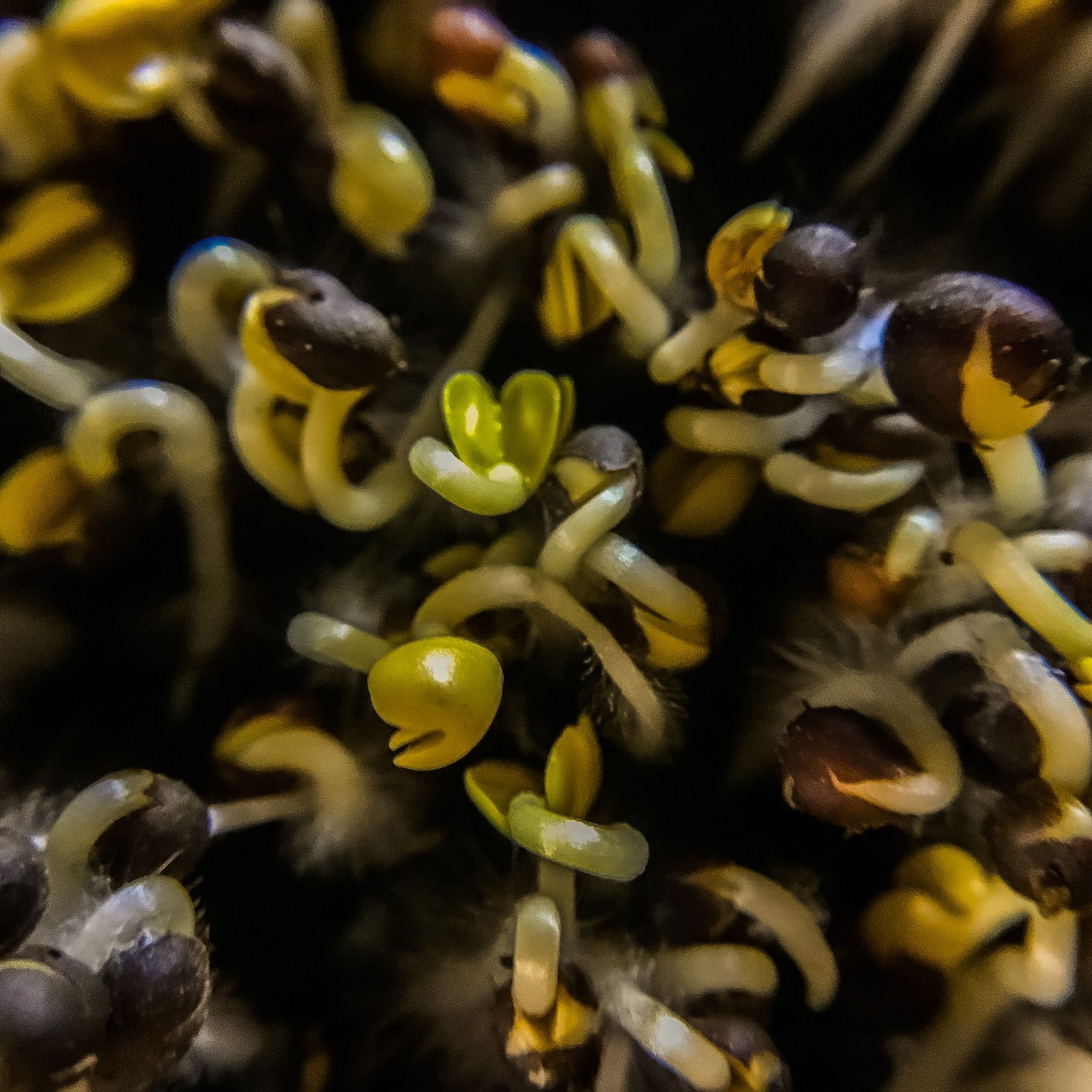 065FA3C3-E324-4307-BC98-FF1811F81837.jpeg