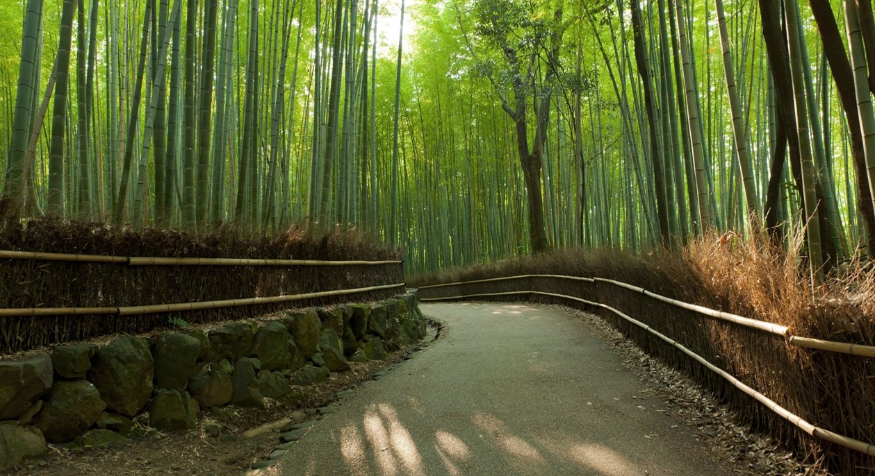 bambu-kyoto-i-1259x686.jpg