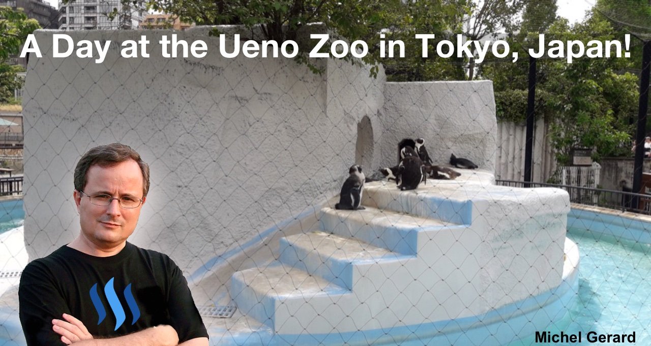 A Day at the Ueno Zoo in Tokyo, Japan!