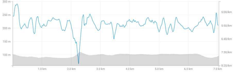 screenshot-www.strava.com-2018-04-26-16-31-47.png