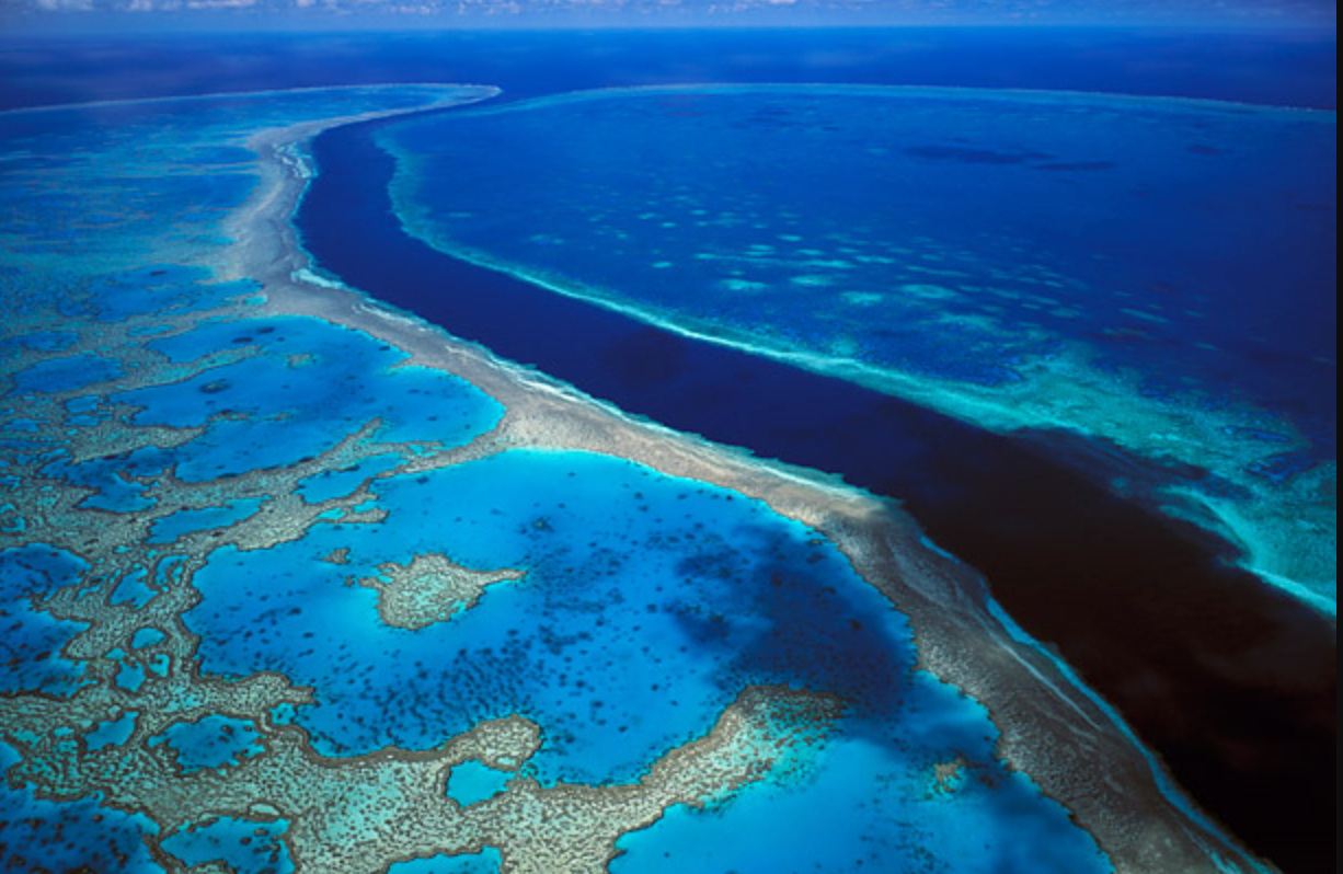 This is the Great Barrier Reef, QUEENSLAND, AUSTRALIA. PLEASE HELP US ...