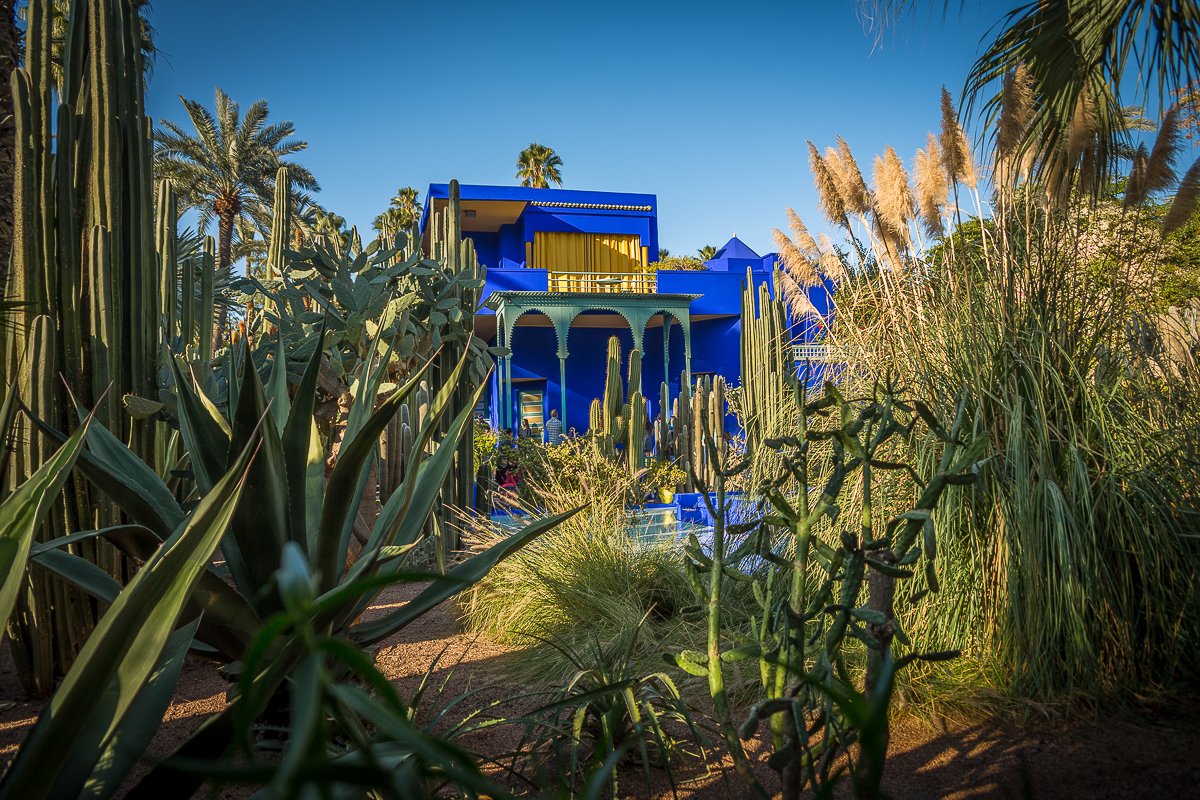 Les Jardins de la Majorelle 7.jpg