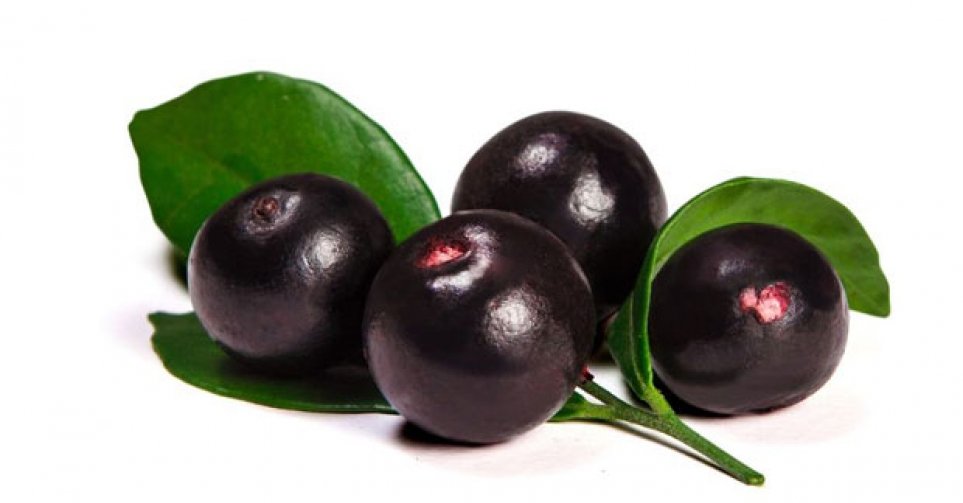 The-super-fruit-acai-berry.jpg