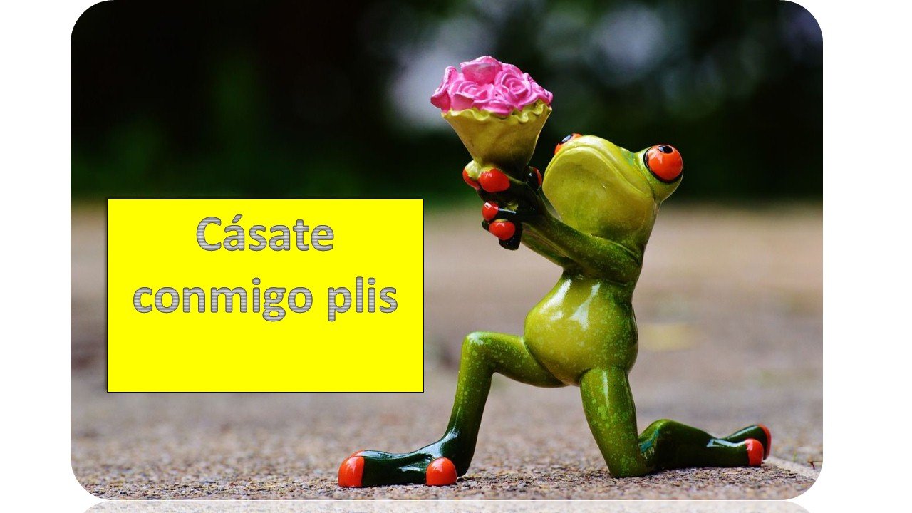 Presentación1.jpg
