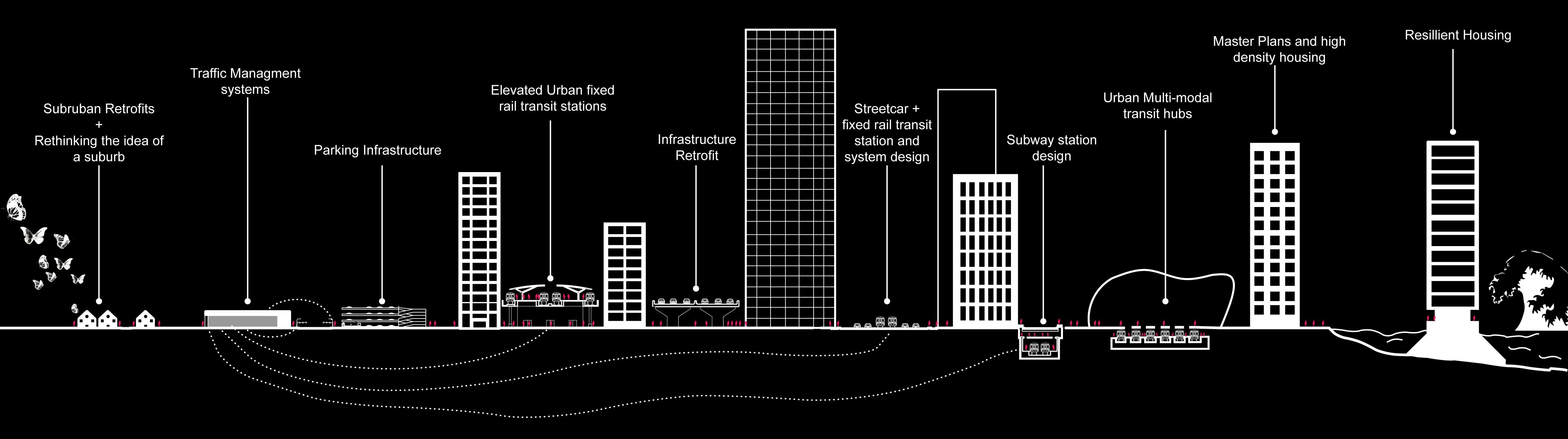 01-Transect_large.jpg