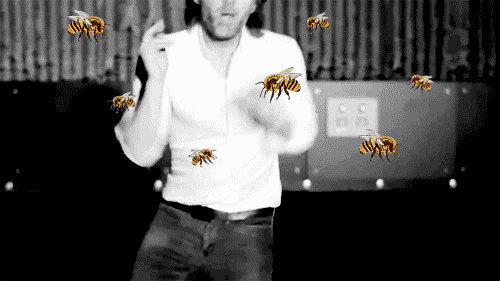 bees.gif