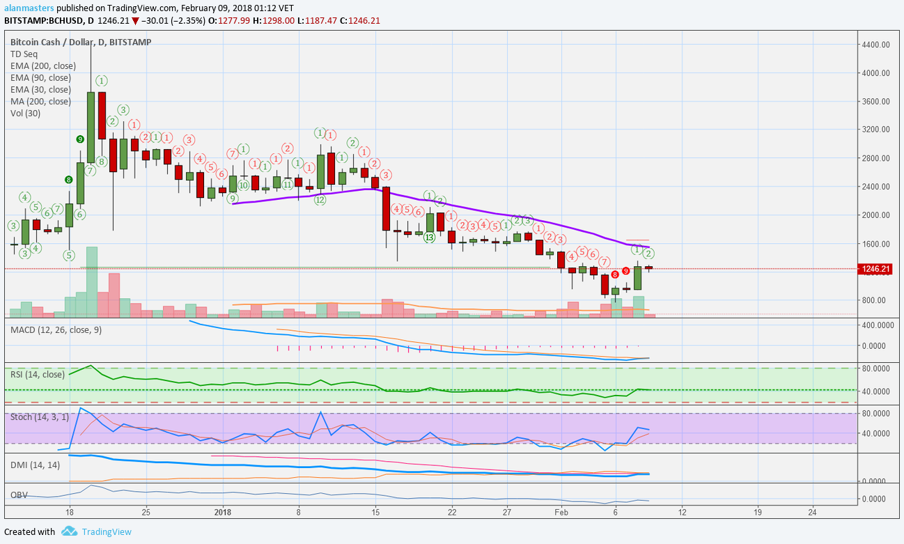 bcc price vs btc