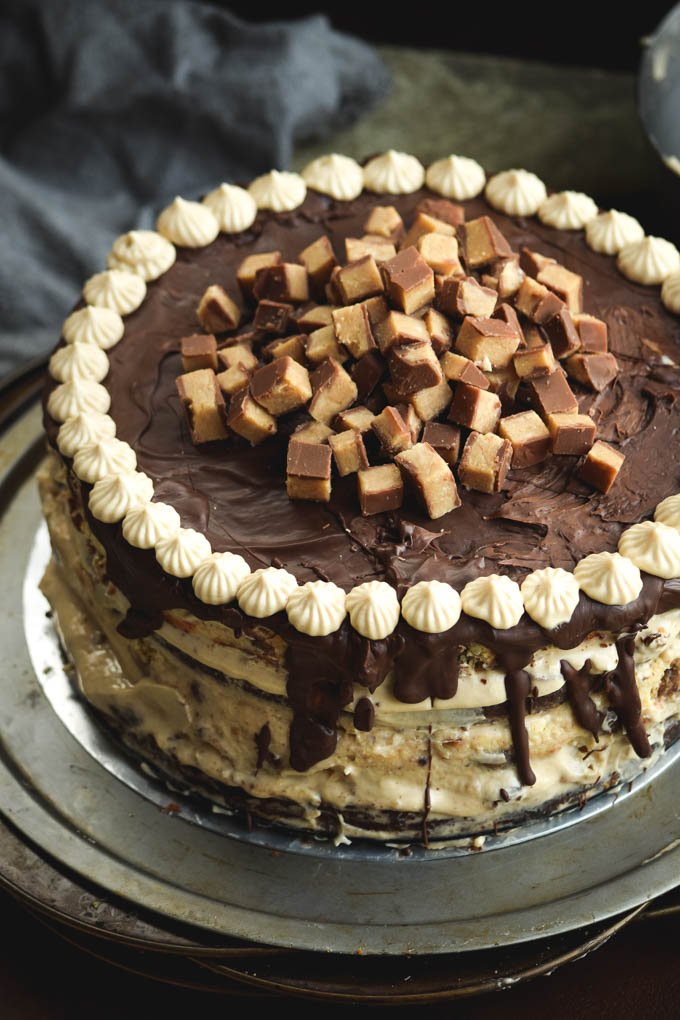 Peanut Butter Mousse Reese's Cup Cheesecake Cake (2).jpg