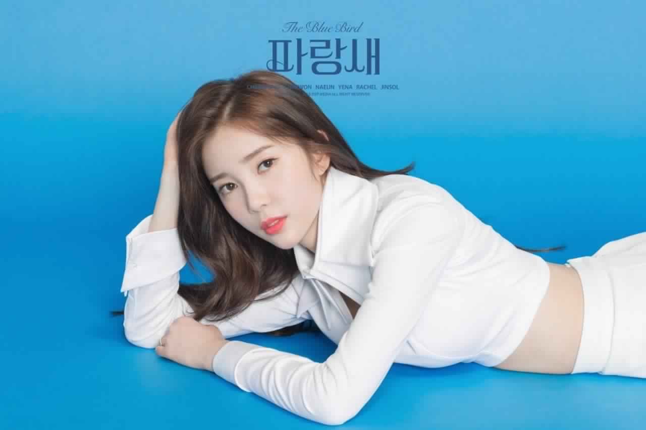 chaekyung blue.jpg