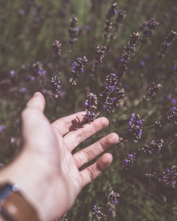 hand flowers.jpg