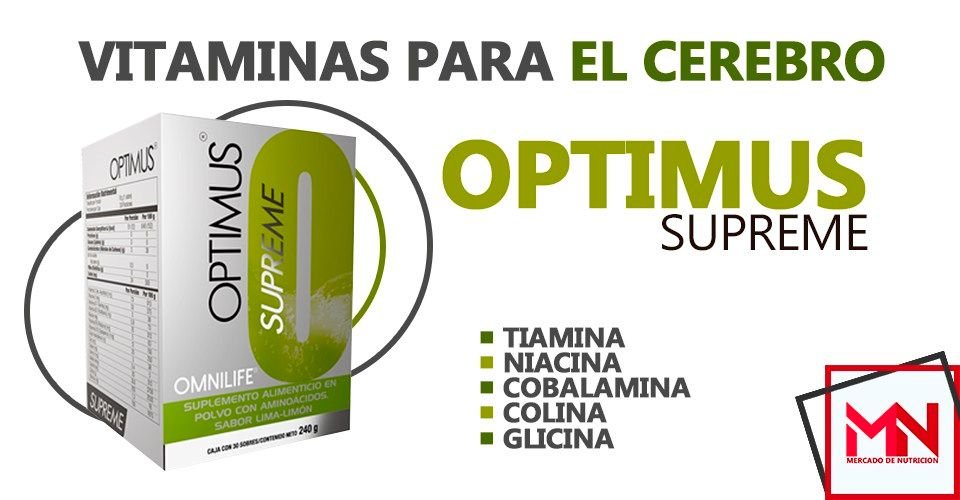 NUTRICION OPTIMA PARA EL CEREBRO — Steemkr NUTRICION OPTIMA PARA EL CEREBRO — Steemkr