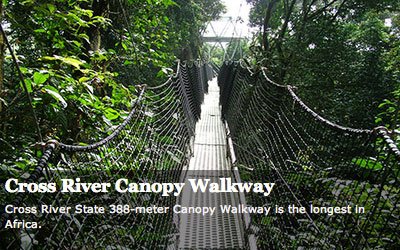 walkway obudu cattle ranchhhh.jpg