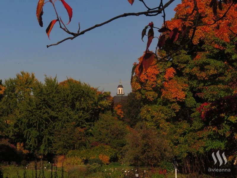 Herbst Spaziergang Im Botanischen Garten In Wien