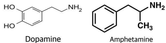 Dopamine-R-side.png