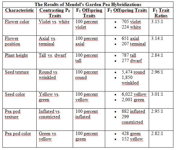 table.JPG