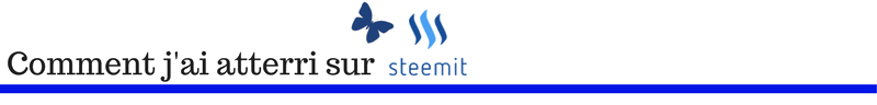 07 Comment jai atterri sur Steemit fr.png