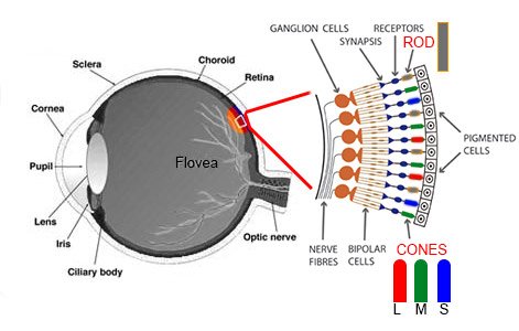 eye_diagram.jpg