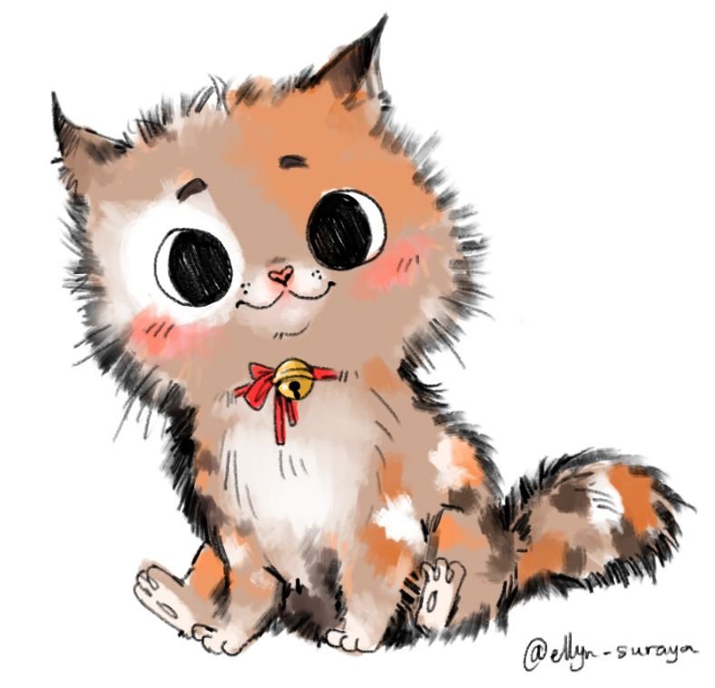 Closeup.jpg
