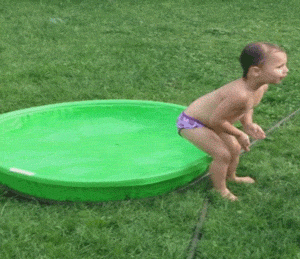 giphy (1).gif