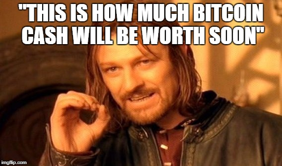 Meme This Is How Much Bitcoin Cash Will Be Worth Soon - 