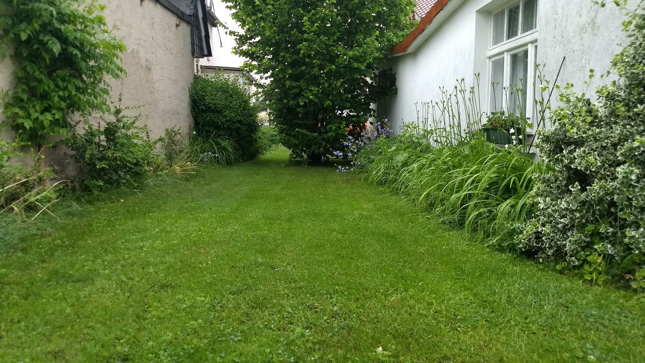 Garten3.jpg